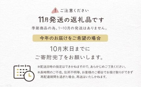 ＜2026年11月発送＞salut!! Xmasシュトーレン【スイーツ 洋菓子 ケーキ おすすめ ラム酒 ドライフルーツ ナッツ デザート パン ギフト 贈り物】_0026-001-se5-11