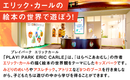 PLAY! PARK ERIC CARLE 入場チケット 2枚（大人2名・子ども2名 計4名様分）体験 チケット 入場券 入場チケット 遊び場 アスレチック アトリエ ギフト プレゼント 贈り物 ご褒美_0067-002-se6