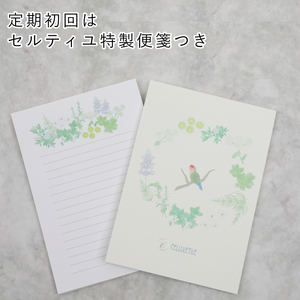 【全3回定期便】セルティユ素肌アイクリーム 15g×2個（3回） [オリジナル成分マロンエキス配合]化粧品 美容液 クリーム 目元 アイクリーム スキンケア コスメ ギフト プレゼント ご褒美 贈り物_0064-006-se6