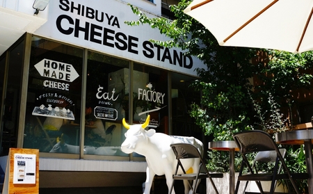 CHEESE STAND【KOSSO RICOTTA CHEESECAKE】