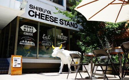 CHEESE STAND 8種セット