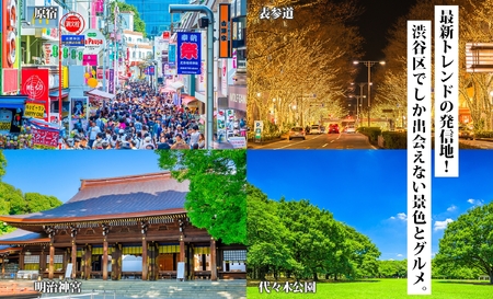 渋谷区 後から選べる旅行Webカタログで使える！ 旅行クーポン（90,000円分）【159002】旅行