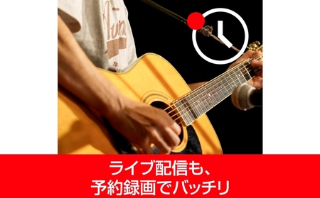 B's 動画レコーダー 【166001】 ソフト 動画 パッケージ版 録画