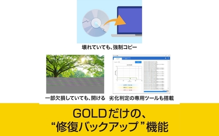 ディスク作成ソフト B's Recorder GOLD【166009】 ﾃﾞｨｽｸ作成 国産 品質 動画 音楽 編集 ﾌｫﾄﾑｰﾋﾞｰ 形式変換 ｿﾌﾄ