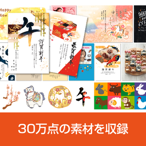 筆王Ver.30【166011】年賀状作成 年賀状ソフト 手軽 ガイドブック収録