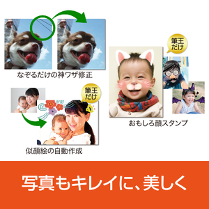 筆王Ver.30【166011】年賀状作成 年賀状ソフト 手軽 ガイドブック収録