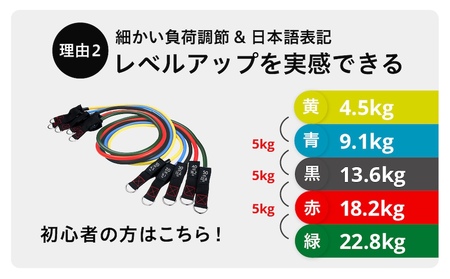 uFit Training Tube Max45.5kg【136010-1】ﾄﾚｰﾆﾝｸﾞ ﾁｭｰﾌﾞ ｴｸｻｻｲｽﾞ ｽﾄﾚｯﾁ 運動 ｺﾝﾊﾟｸﾄ 持ち運び 天然ｺﾞﾑ