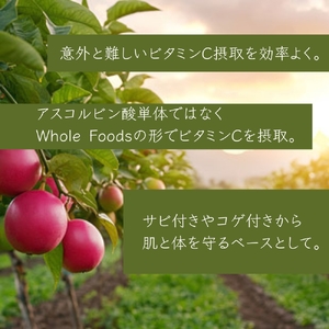 有機アセロラビタミンCパウダー8500mg(サプリメント) 【170016】