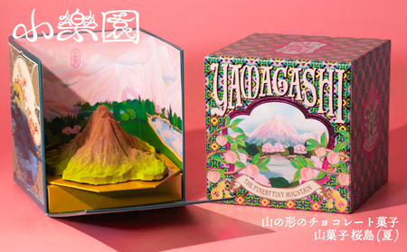 山菓子　桜島御岳（夏） 【196004】 4,250円