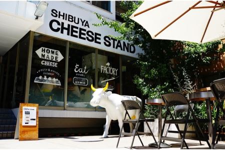 CHEESE STAND チーズ6種×2 よくばりセット