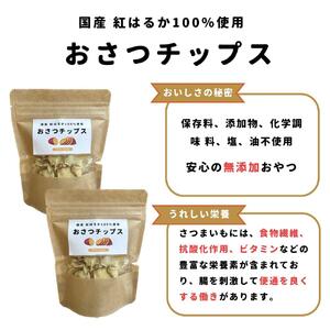  ＜動物看護士　制作＞愛犬ハッピーセット| ペット ペット