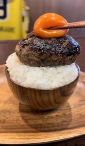 A5和牛の非つなぎタンバーグ120g×2個 | 牛肉 牛肉