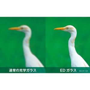 ケンコー双眼鏡Avantar 8×25ED DH4961607976517