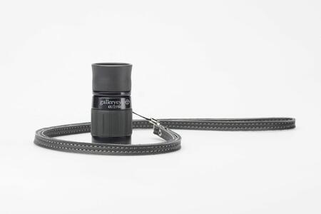 ケンコー 単眼鏡 ギャラリーEYE 4×12ブラック 4961607001462