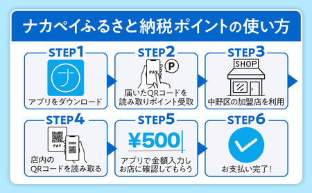  ナカペイふるさと納税ポイント 3,000円分 |旅行 旅行