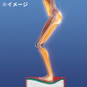 パーフェクトエクサ(R)【ブラウン】_1329400007_01