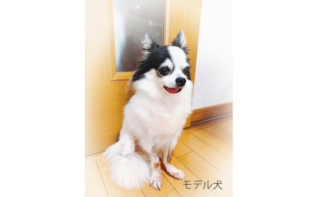 思い出のペット写真から作る3Dフィギュア 長辺15cm