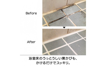 ピカットロンプロ2リットル_1245600341_00