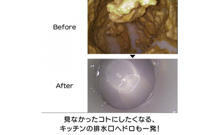 ピカットロンプロ4リットル_1245600342_00