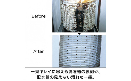 ピカットロンプロ4リットル_1245600342_00