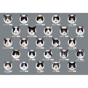 白黒つけない平和なゲーム！ハチワレあわせ