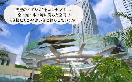 サンシャイン水族館＋サンシャイン60展望台 セット券（大人・こどもペア）