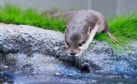 サンシャイン水族館＋サンシャイン60展望台 セット券（大人・こどもペア）