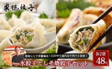 巣鴨餃子 水餃子としそ焼餃子 の組み合わせ 各2袋 48個 餃子 ぎょうざ ギョーザ セット 食べ比べ 冷凍 鍋 スープ おかず おつまみ お取り寄せ 豊島区 東京都