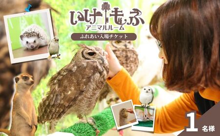 チケット 東京 ふれあい入場チケット 体験 ふくろう 爬虫類 チンチラ フクロモモンガ ハリネズミ ミーアキャット プレーリードッグ フェネック ヘビ カメ 写真撮影 ふれあい 豊島区 東京都