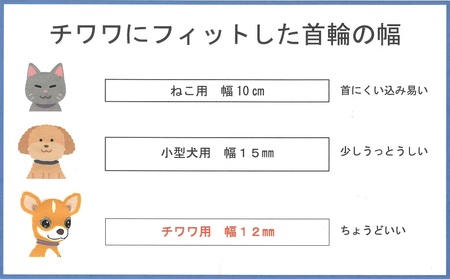 チワワ用カラー（首輪）＆リード(カラー：紺・水色・紺)【001-003】