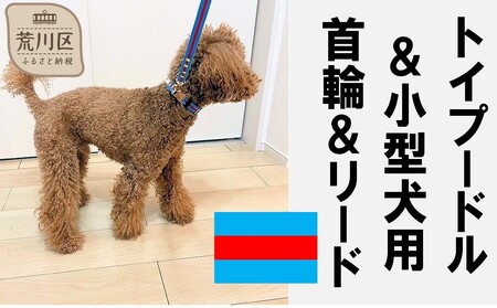 カラー リード 犬 ショップ