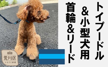トイプードル及び小型犬用カラー（首輪）＆リード(カラー：紺・水色 ...