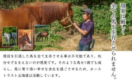 【引退競走馬 余生支援】北海道 岩内町 ホーストラスト北海道支援 3000円コース 引退馬