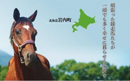 【引退競走馬 余生支援】北海道 岩内町 ホーストラスト北海道支援 3000円コース 引退馬