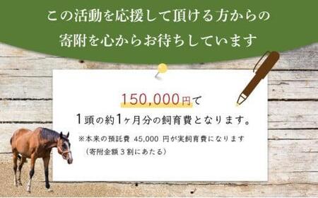 【引退競走馬 余生支援】北海道 岩内町 ホーストラスト北海道支援 5000円コース 引退馬