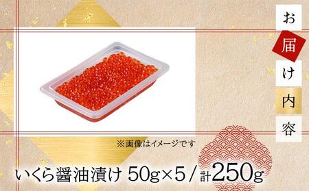 いくら醤油漬け 250g（50g×5）【順次発送】  045-a008