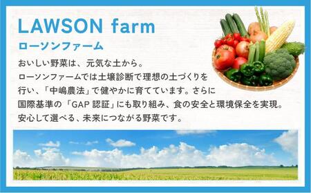 ローソンファーム北海道岩内レトルトとうもろこし6本セット