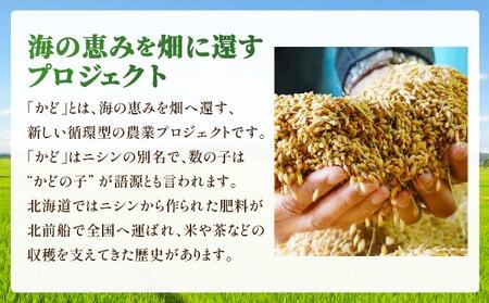 【北海道産お米】ななつぼし5kg (カド肥料使用)