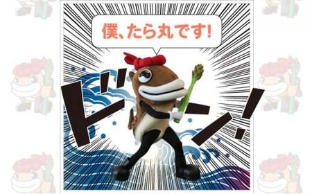 たら丸小判・貯金箱セット F21H-440