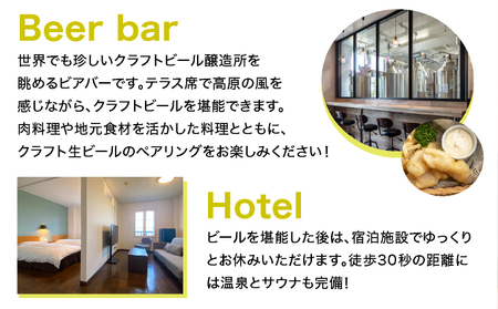 【5組限定】あなただけの1杯をつくります!夢のオリジナルビール醸造 北海道岩内町 F21H-567