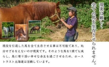 【引退競走馬 余生支援】北海道 岩内町 ホーストラスト北海道支援 2万円コース 引退馬 F21H-557 馬 競走馬 引退 支援 馬 競走馬 引退 支援 馬 競走馬 引退 支援  馬 競走馬 引退 支援  馬 競走馬 引退 支援  馬 競走馬 引退 支援  馬 競走馬 引退 支援  馬 競走馬 引退 支援