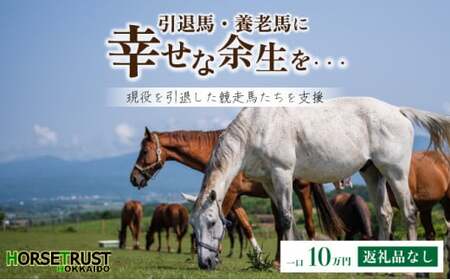 【引退競走馬 余生支援】北海道 岩内町 ホーストラスト北海道支援 10万円コース 引退馬 F21H-559
