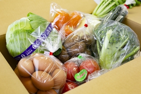 東京・八王子産　とれたて新鮮野菜＆卵の詰め合わせセット