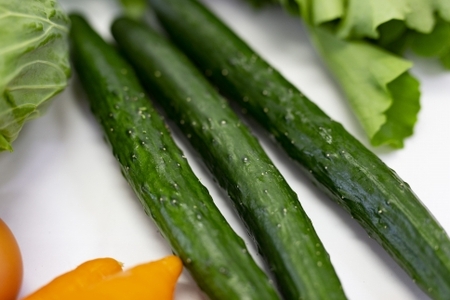 東京・八王子産　とれたて新鮮野菜＆卵の詰め合わせセット