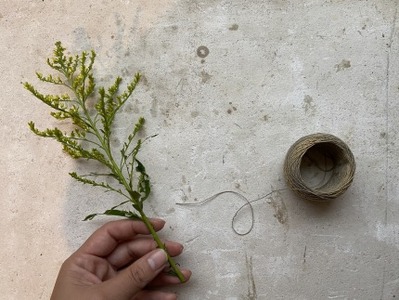 おうちで自然を感じるイチョウとムササビのモビール