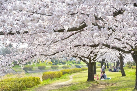 八王子観光特使チャーリー礒崎と走るプライベートサイクリング(定員2名)