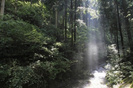 八王子観光特使チャーリー礒崎と走るプライベートサイクリング(定員2名)