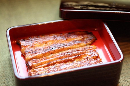 八王子志乃ざき　天然うなぎプレミアムコース（4名様）