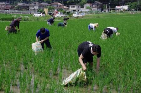 東京・八王子産米100％の地酒「高尾の天狗」720ＭＬ×1本　わさび漬80ｇ×2個