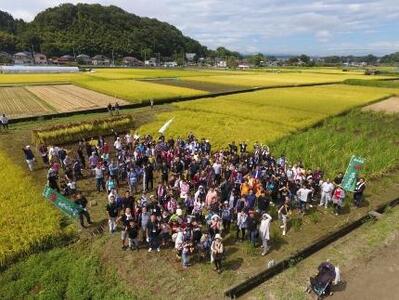 東京・八王子産米100％の地酒「高尾の天狗」720ＭＬ×3本　わさび漬80ｇ×2個
